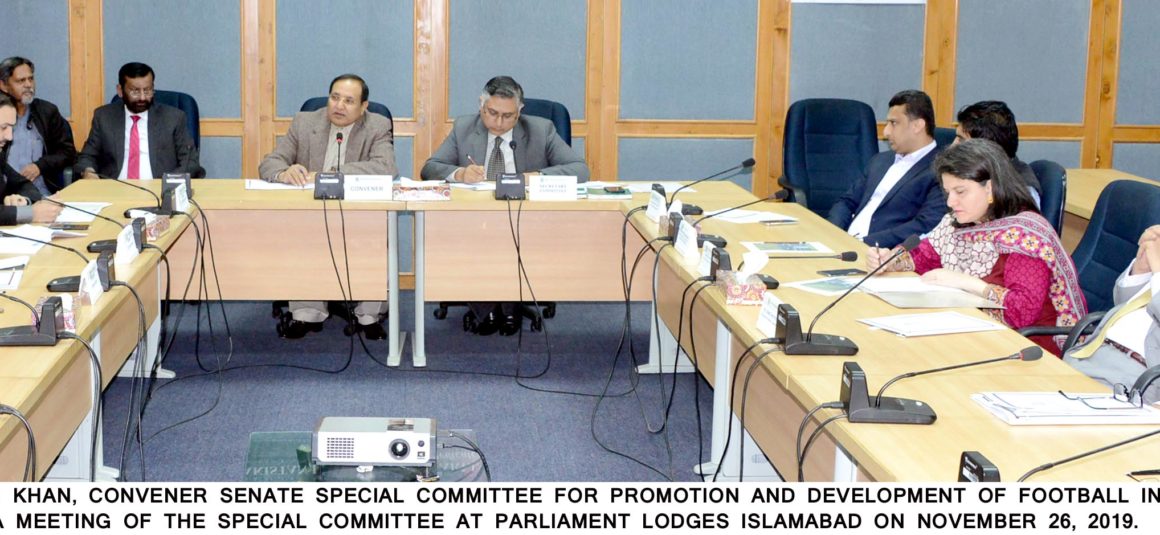 Senate panel calls for promotion of football [Dawn]